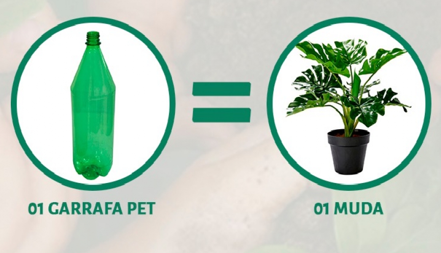 A ação sustentável “Troque uma garrafa pet por uma muda” ocorre nesta quinta-feira (6) no campus Juazeiro do Norte da Universidade Federal do Cariri (UFCA). Interessados em trocar as garrafas plásticas por uma muda devem levar o material ao pático central do campus Juazeiro, entre 11h e 14h ou entre 17h e 19h de hoje. A iniciativa - da Coordenadoria de Gestão da Sustentabilidade da UFCA, vinculada à Pró-Reitoria de Planejamento e Orçamento (CGS-Proplan/UFCA) - teve início ontem (5), no campus Barbalha. A troca é aberta à comunidade externa e não há limites de trocas por pessoa.