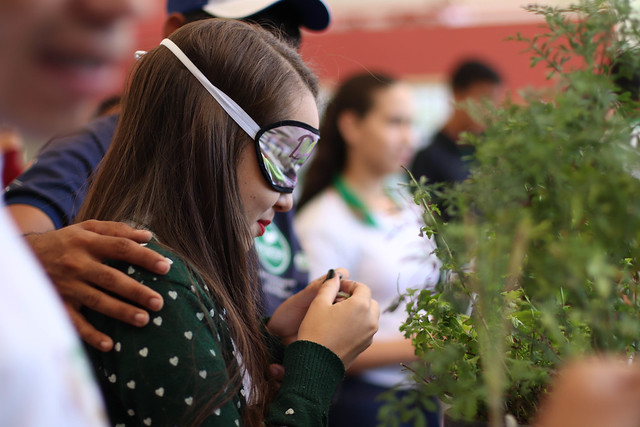 Estudante, com olhos vendados, tocando as folhas de uma planta medicinal