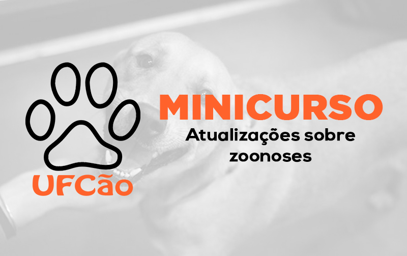 Minicurso UFCão