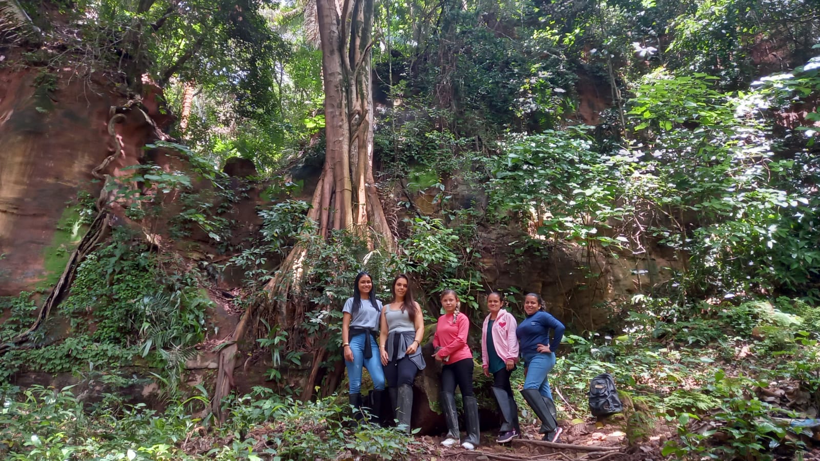 Cinco estudantes mulheres no meio de uma floresta